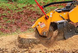 Best Tree Removal  in Huntland, TN
